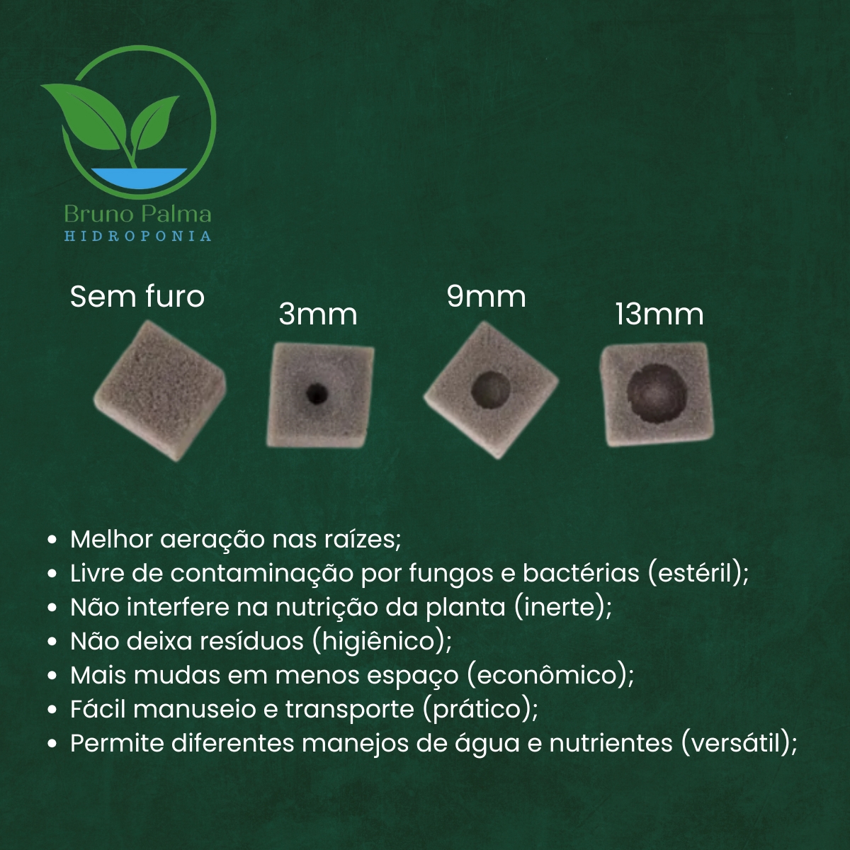 Espuma GreenUp Bruno Palma