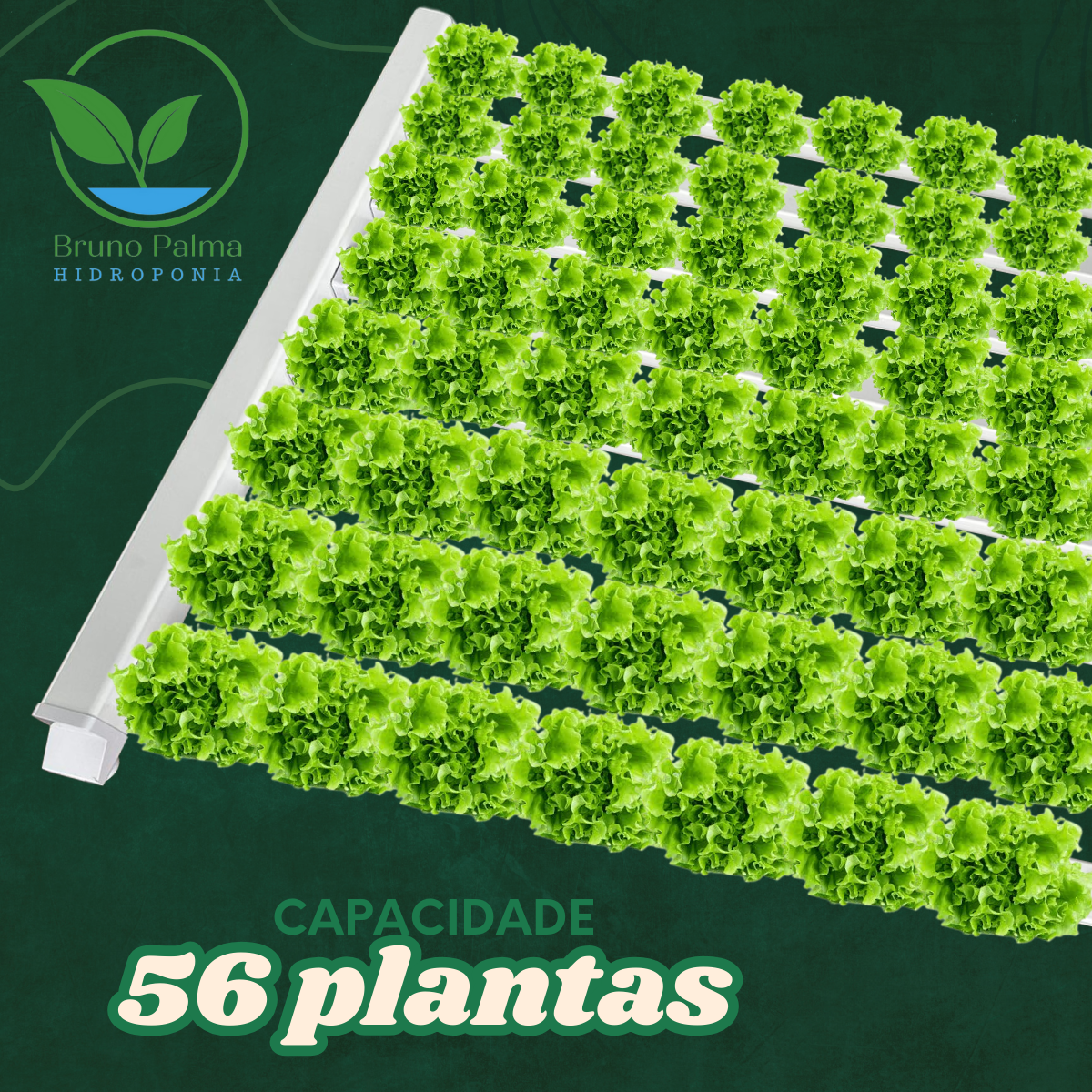 BANCADA HORTIVINYL