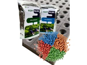 Kit Hidroponista MINI - Ideal para iniciantes